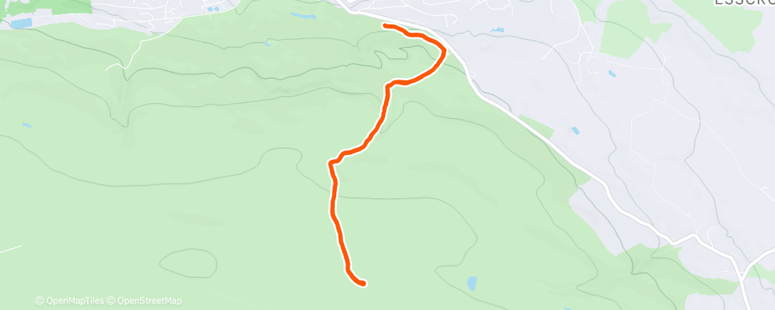 Map of the activity, Merry Christmas 🎄