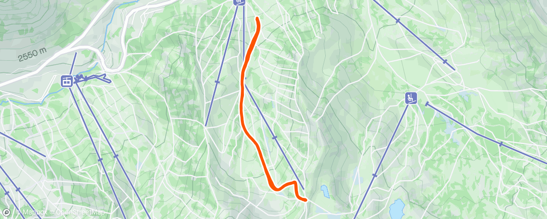 Карта физической активности (Afternoon Backcountry Ski)