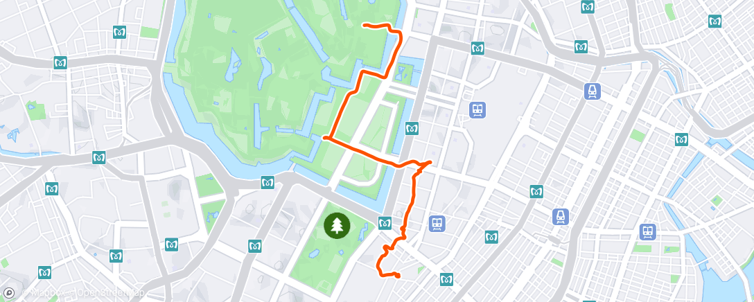 Map of the activity, Дневная прогулка
