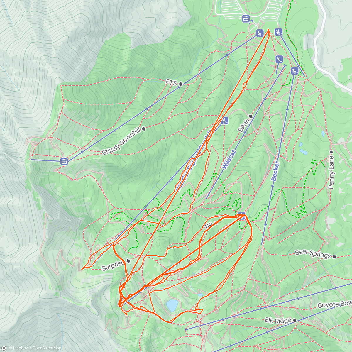 Map of the activity, Salmon check