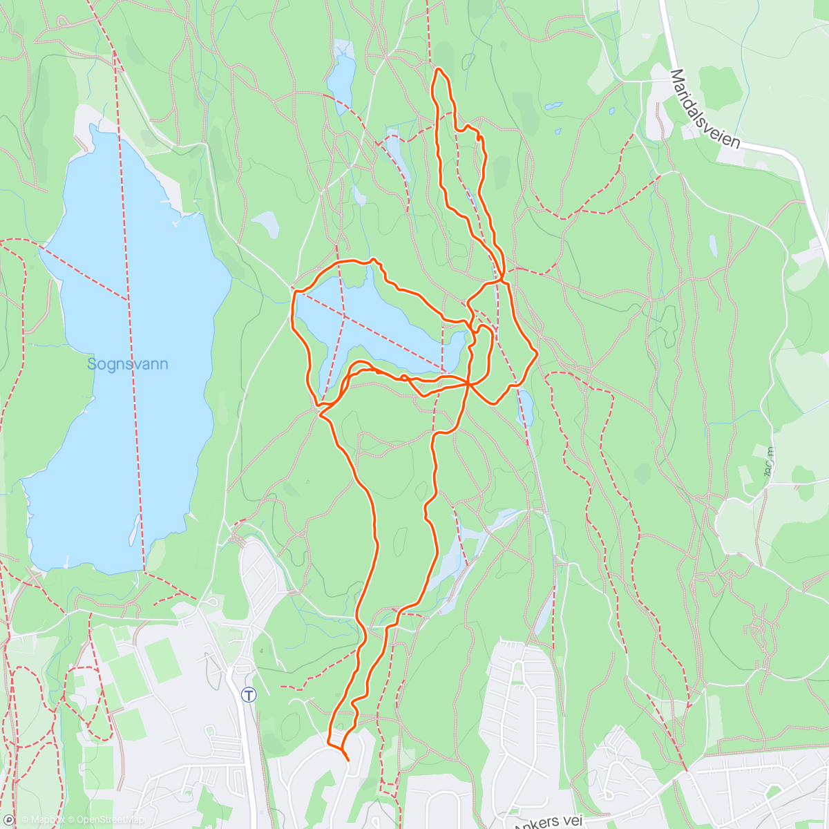 Map of the activity, «Plukkhogst» og «Friluftsliv»