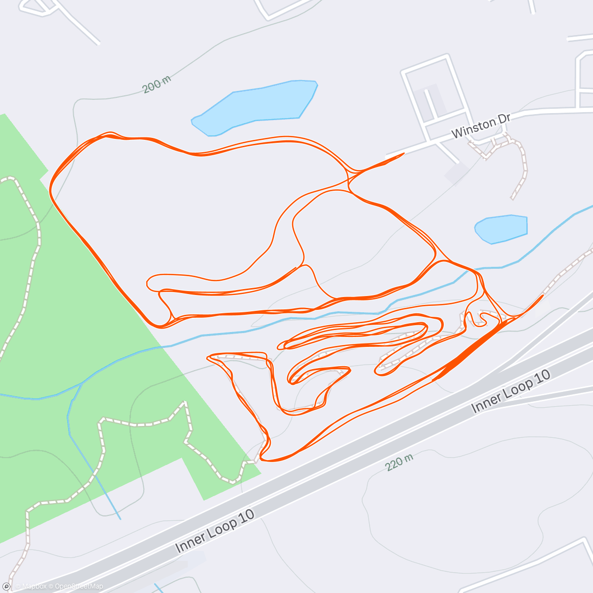 Map of the activity, Reunited with the pup