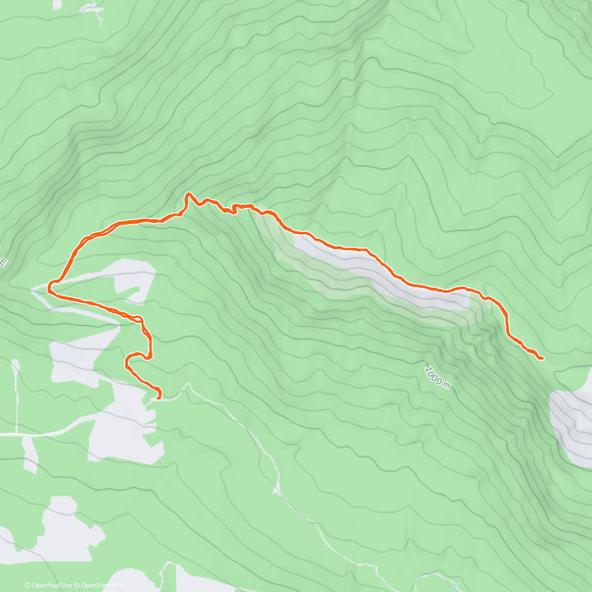 Map of the activity, Not the burrito loop but burritos after 👌💁🏻