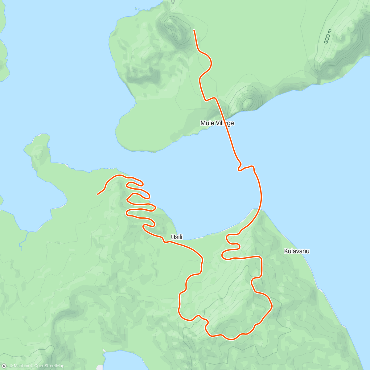 Map of the activity, Zwift - New Workout on Mountain Mash in Watopia