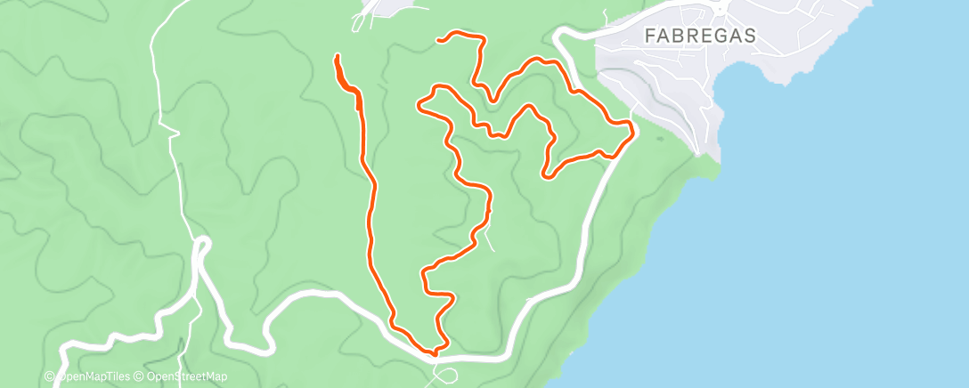 Map of the activity, Janas