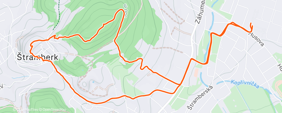 Карта физической активности (Afternoon Walk)