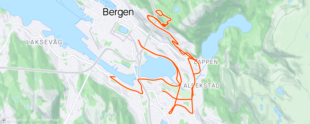 Mapa de la actividad (Fløyen med SK Småbarnsfedre ☀️)