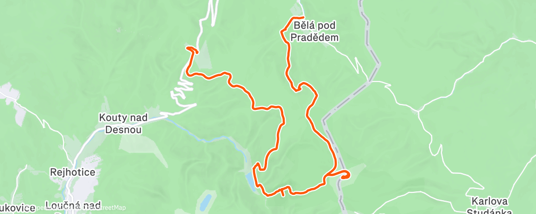 Карта физической активности (Neblig Altvater 🙏)