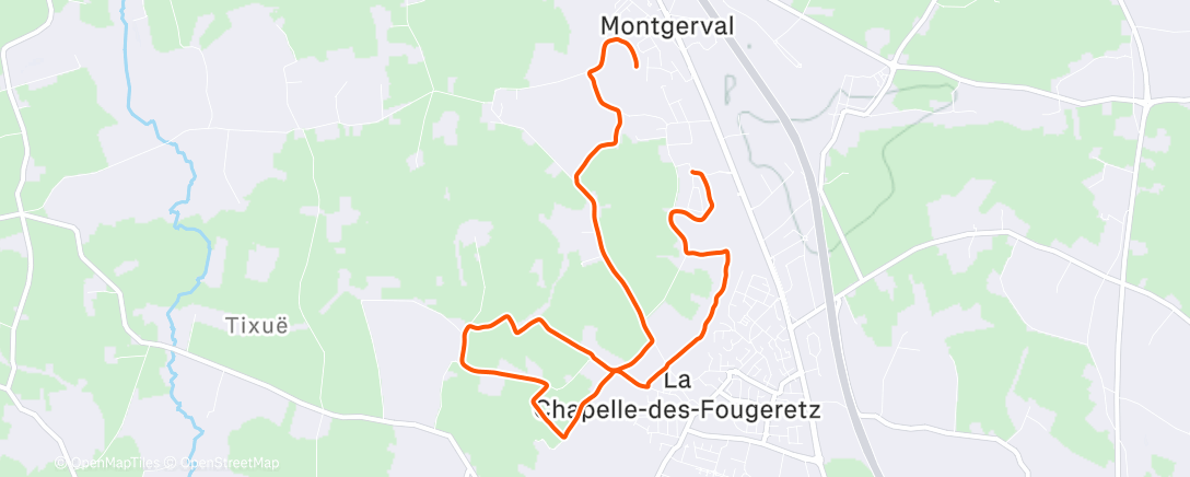 Карта физической активности (Morning Run)