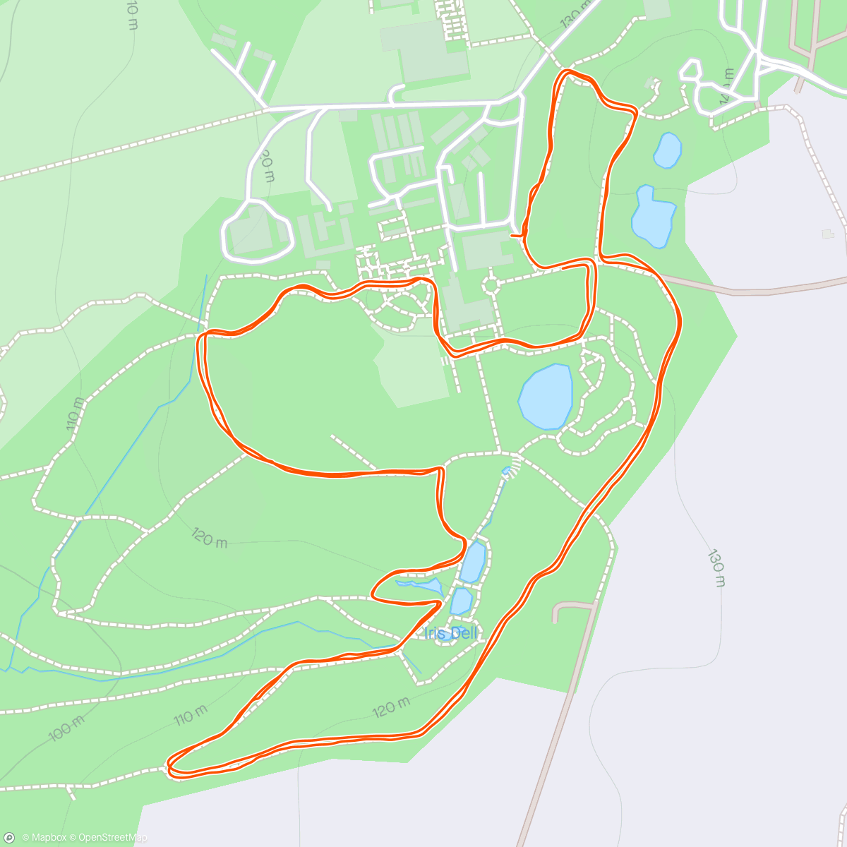 Map of the activity, New parkrun - Wakehurst. Buggy walk