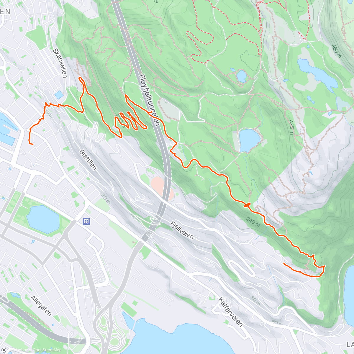 Map of the activity, Fløyen fra Starefossen 💪