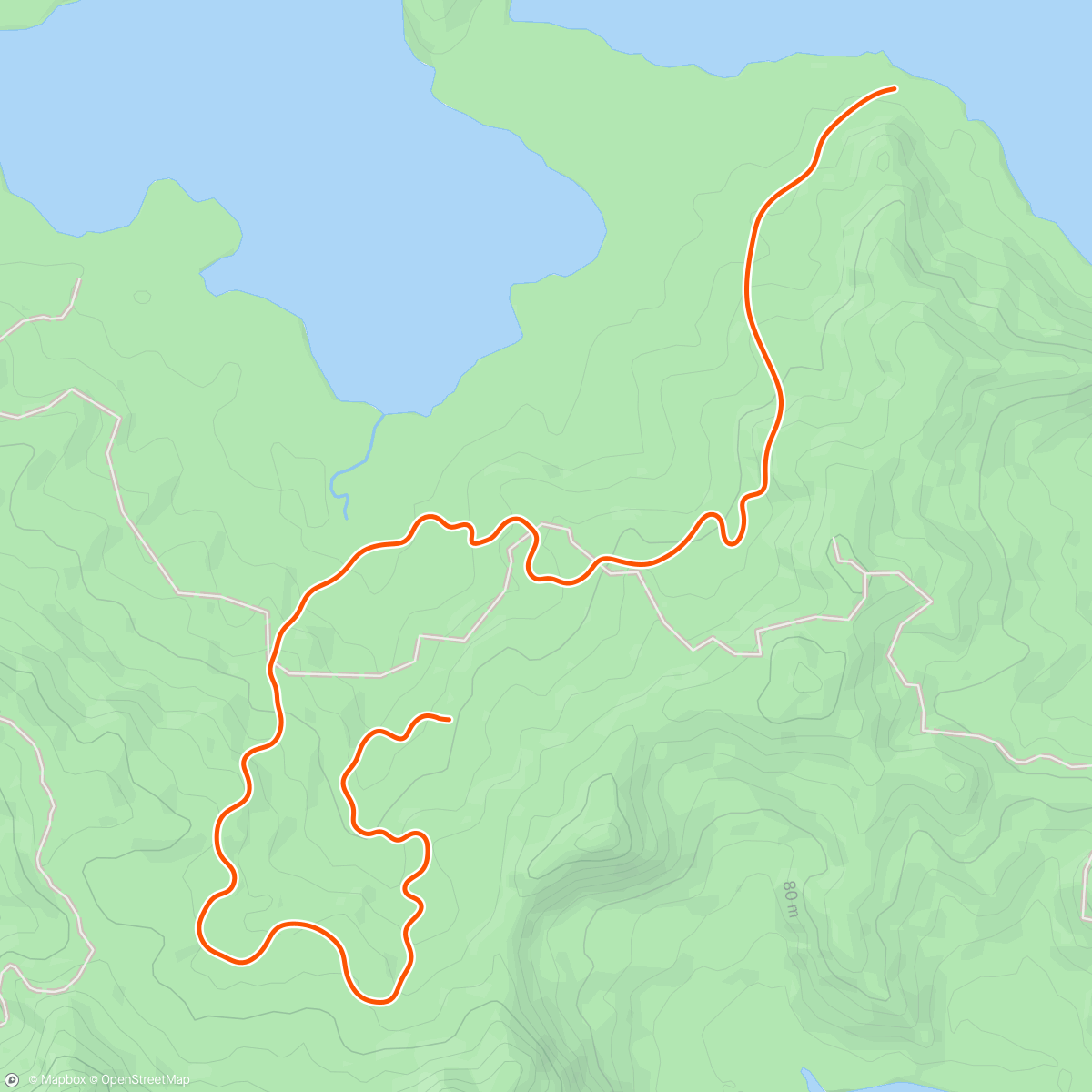 Map of the activity, Zwift - Warm up protocol (20') (1) on Jungle Circuit in Watopia