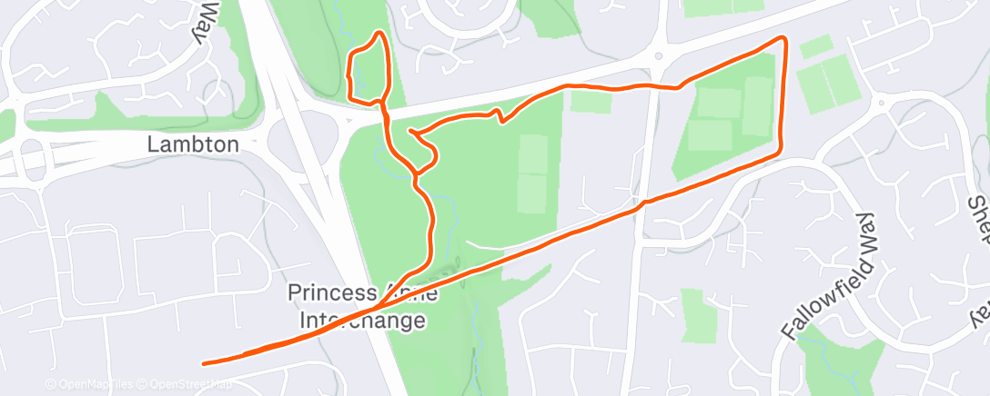 Map of the activity, Evening Run