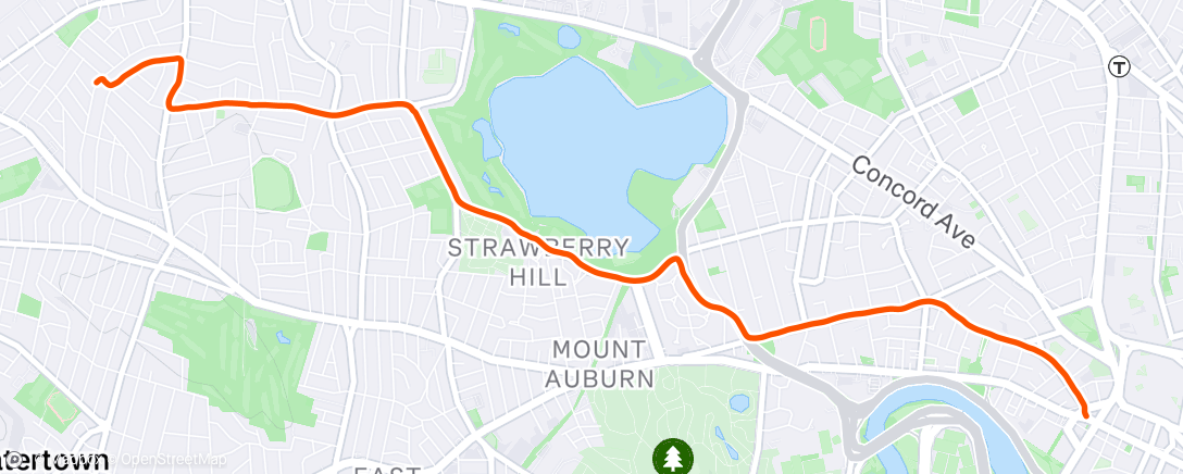 Map of the activity, Morning Ride