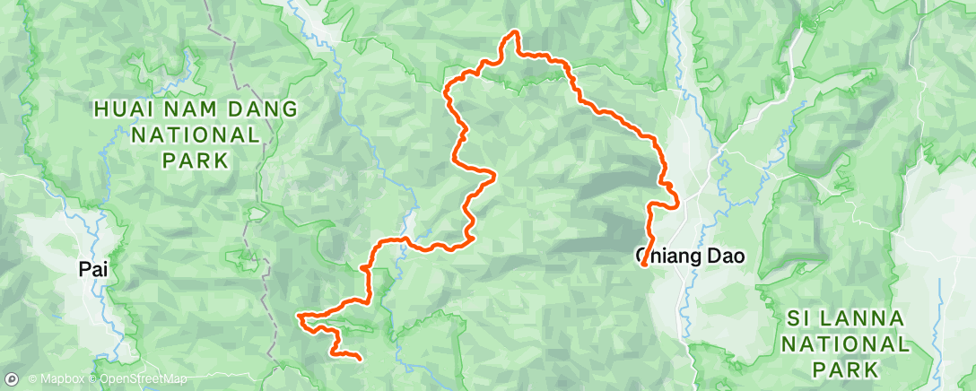 Карта физической активности (Morning Trail Run)