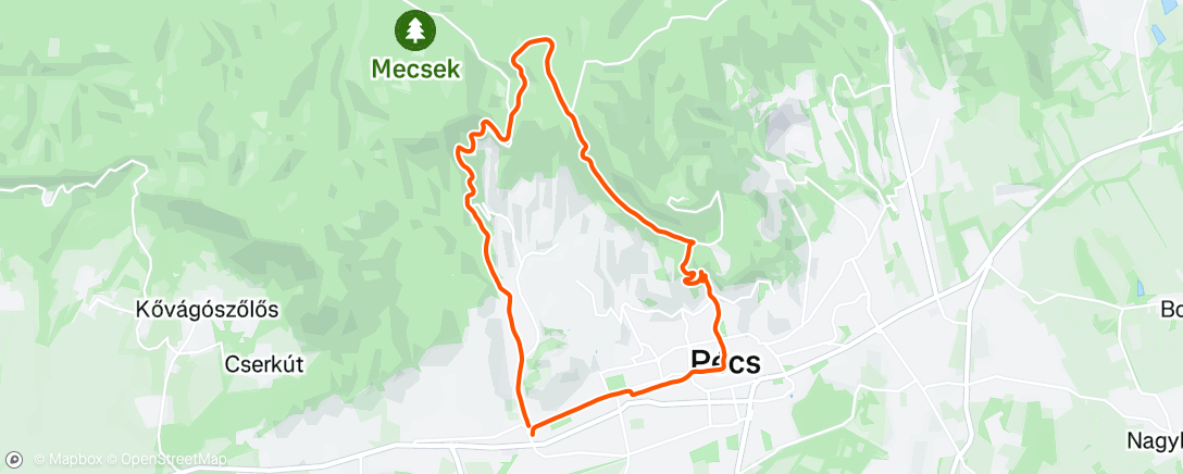 Map of the activity, Morning Run