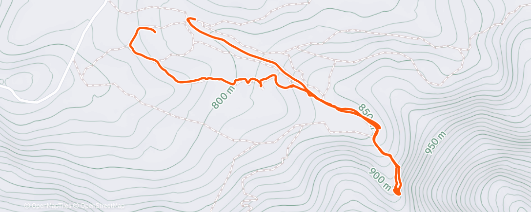 Map of the activity, Morning Trail Run