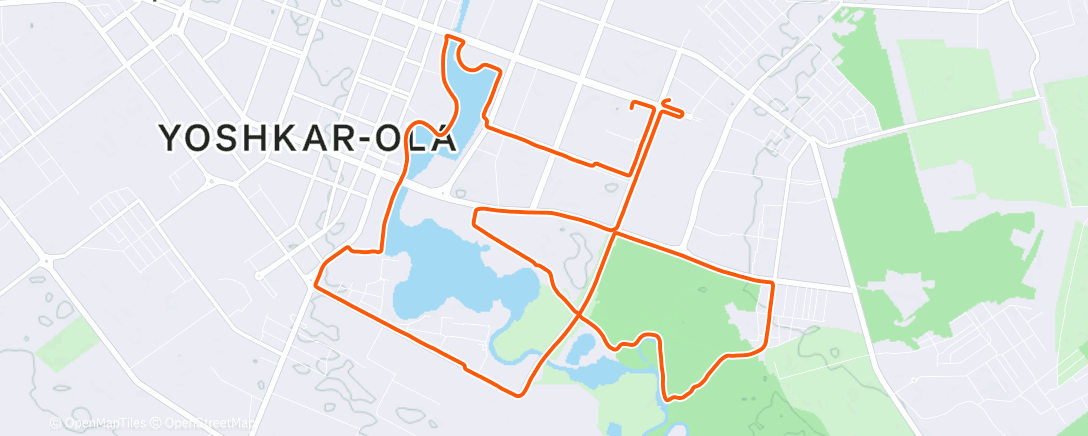 Карта физической активности (Morning Run)