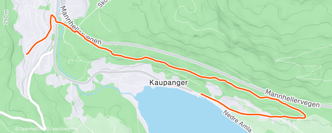 Карта физической активности (Afternoon Hente bil Run 🚗)