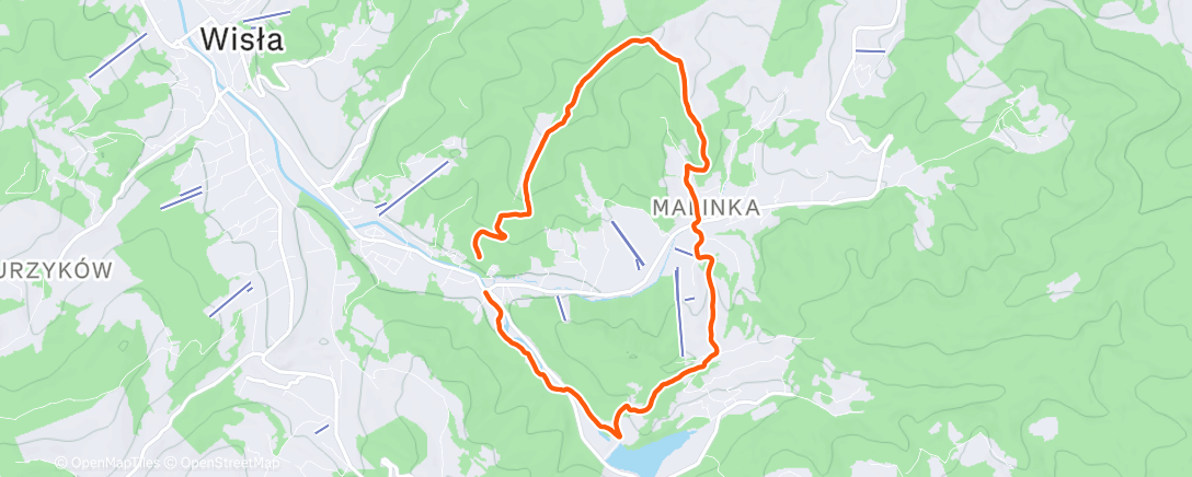 Карта физической активности (Morning Walk)