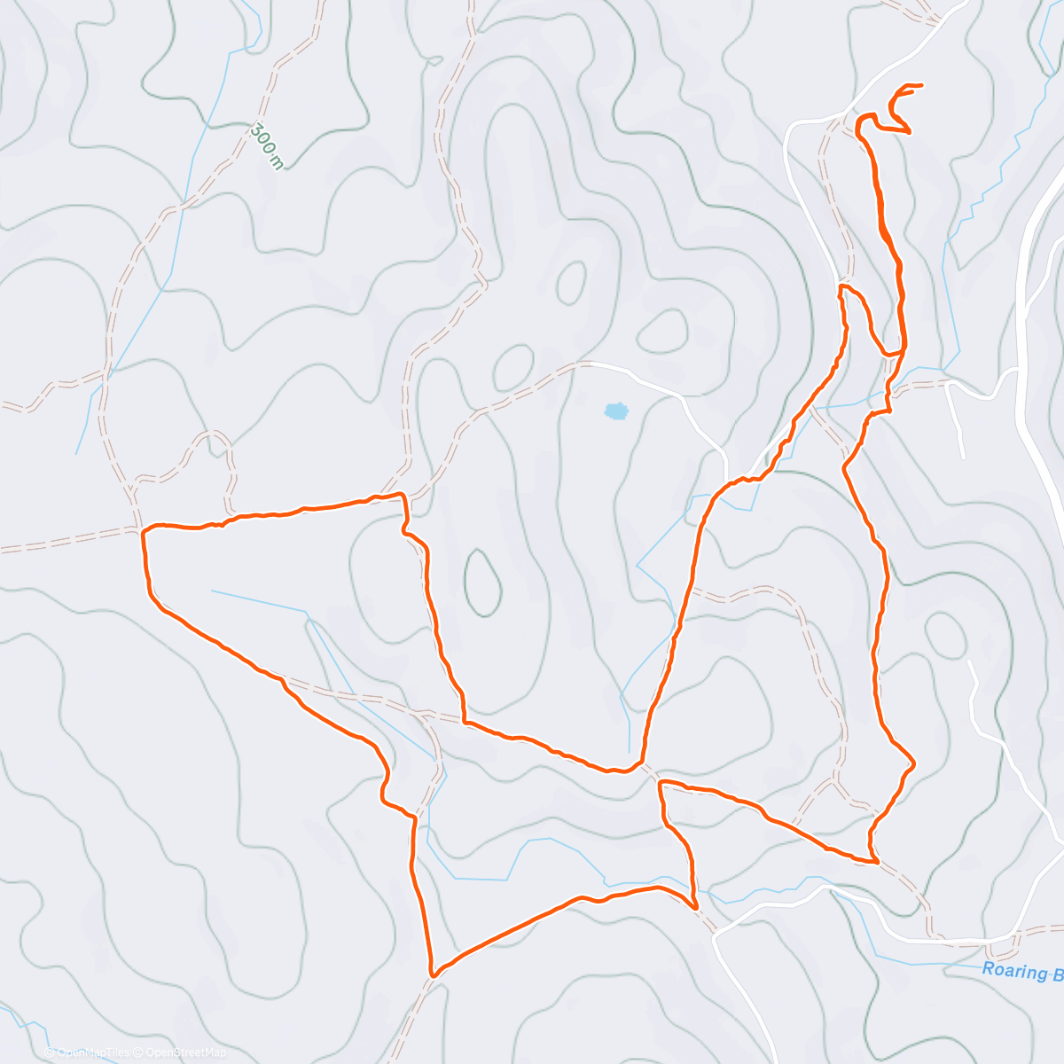 Map of the activity, Beauty