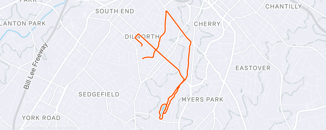 Map of the activity, Morning Run