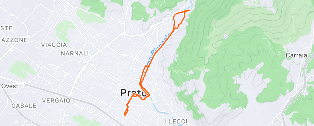 Map of the activity, Z2