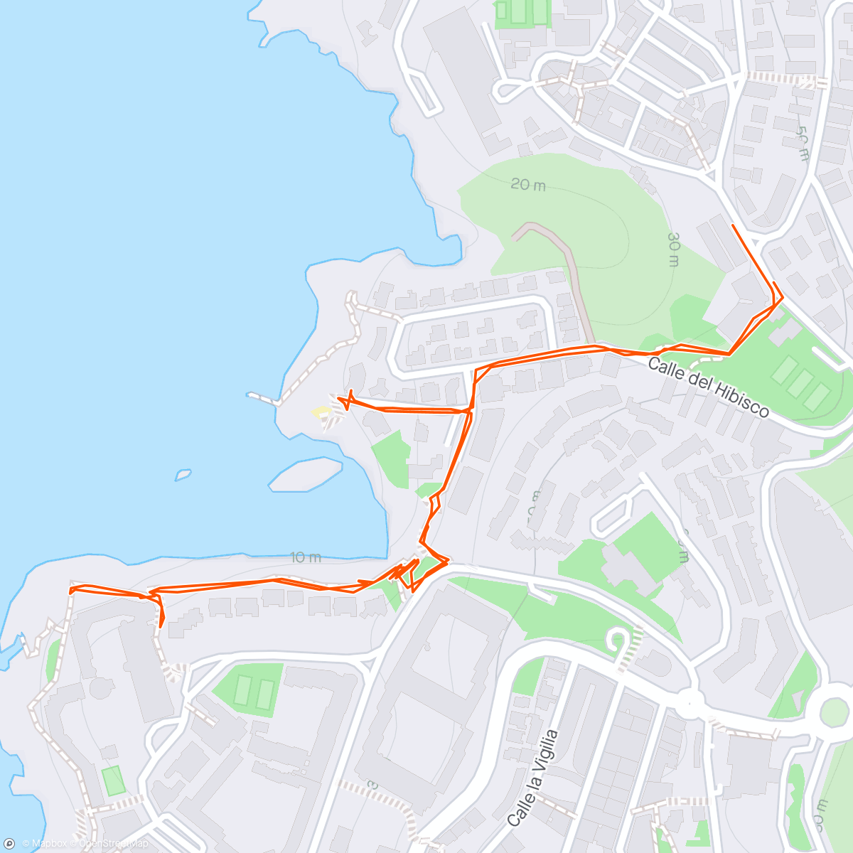 Mapa de la actividad, Morning walk. los Gigantes Tenerife