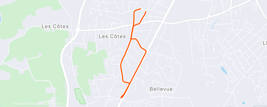 Map of the activity, Afternoon Walk