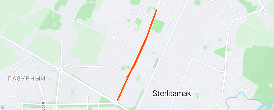 Map of the activity, Morning Run