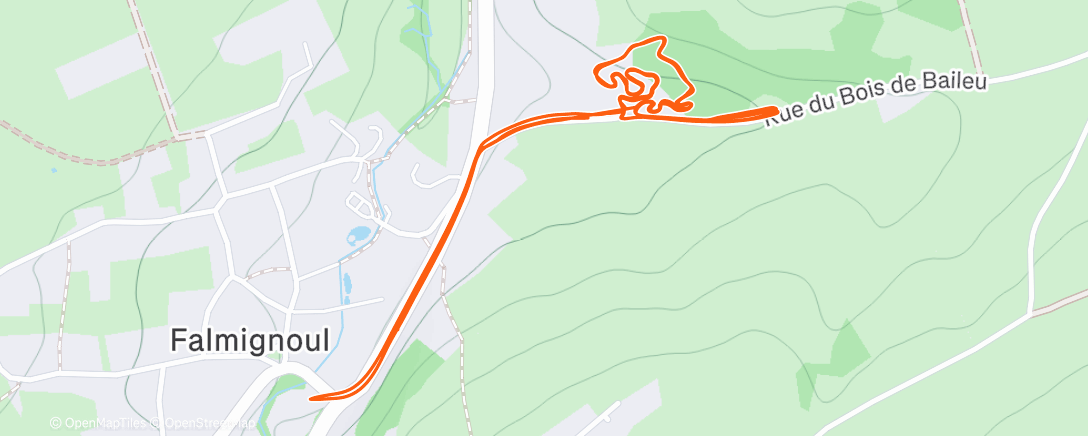 Карта физической активности (Reco)