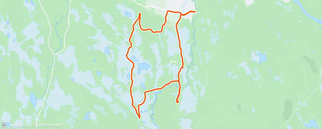 Map of the activity, Afternoon Semi-Lång Lunk 🦖
