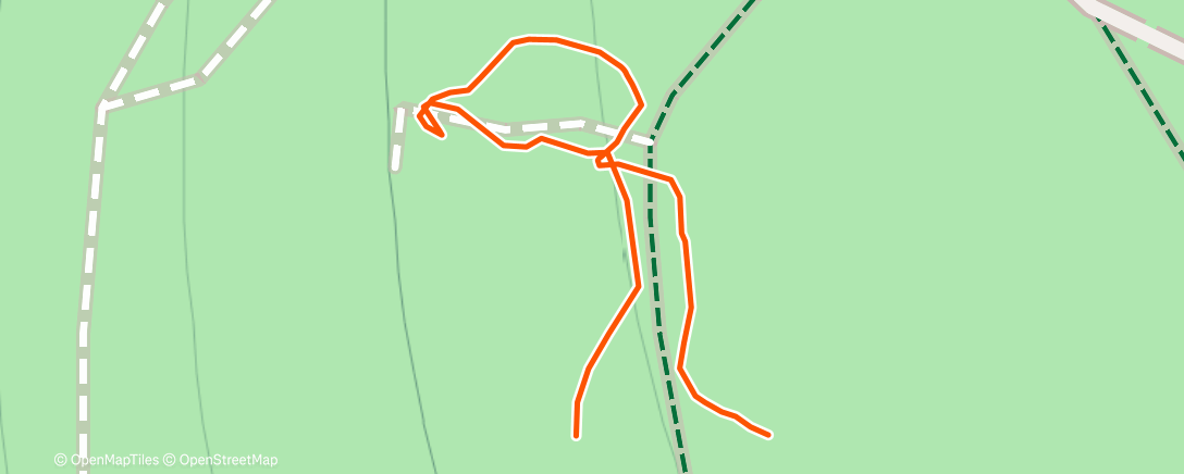 Карта физической активности (Spaziergang am Nachmittag)