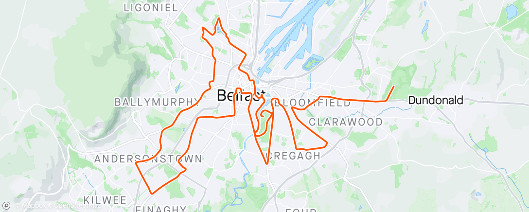 Mapa de la actividad (Belfast City Marathon)