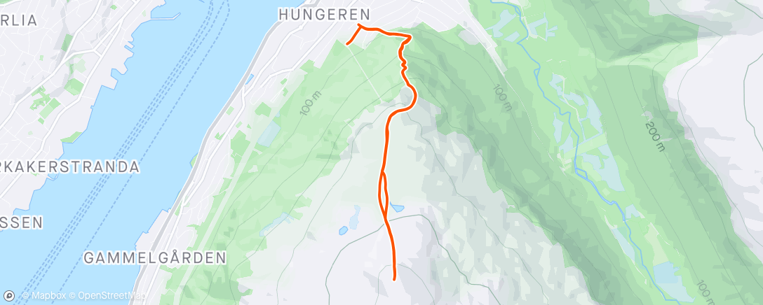 Map of the activity, Fløya