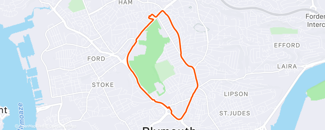 Map of the activity, Evening Run