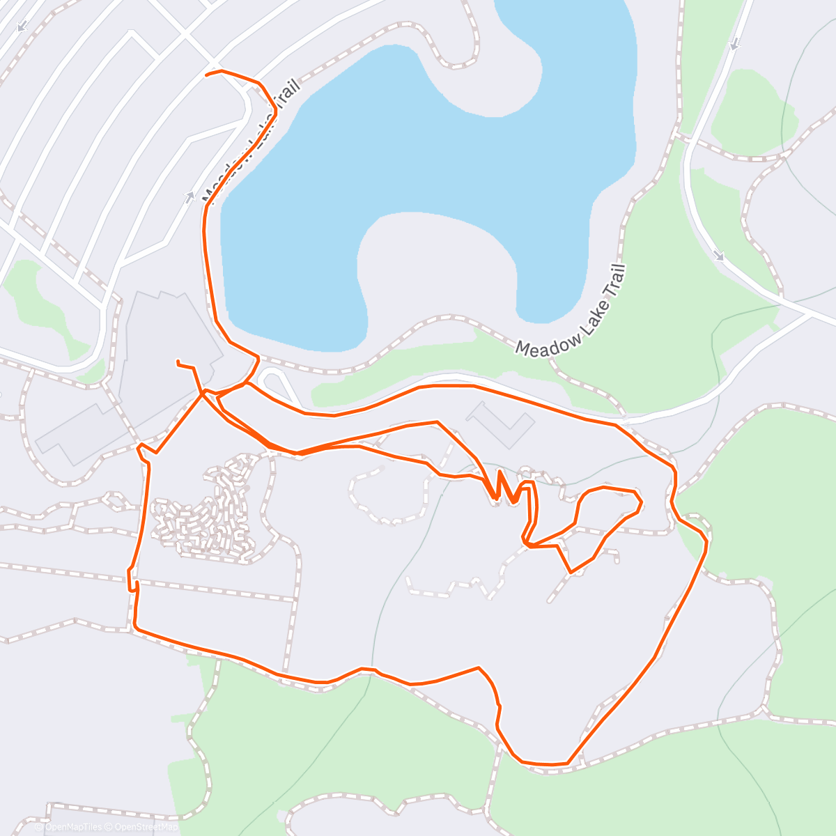 Map of the activity, Afternoon Walk around the salt tree park 🌳