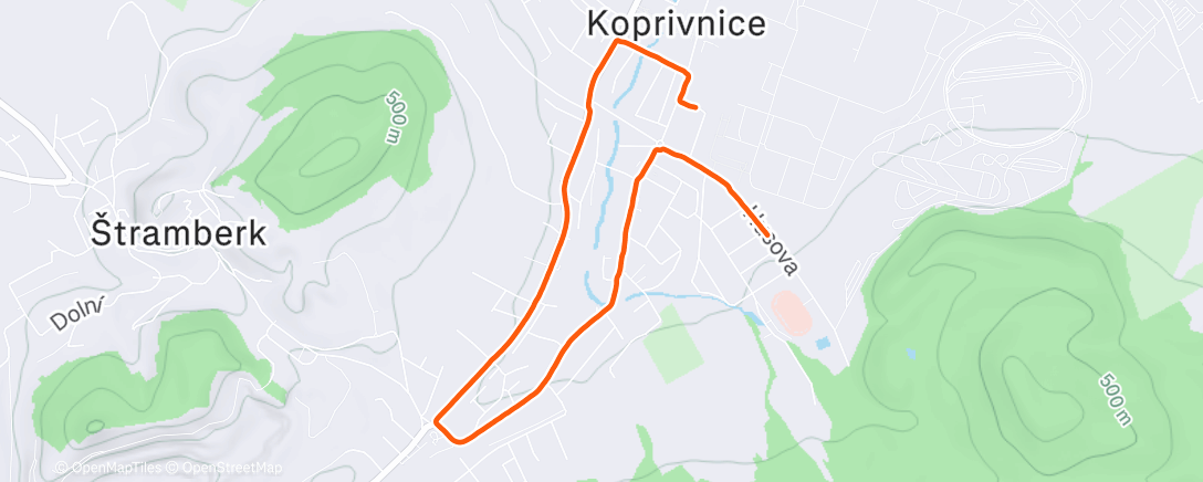 Карта физической активности (Morning Run)