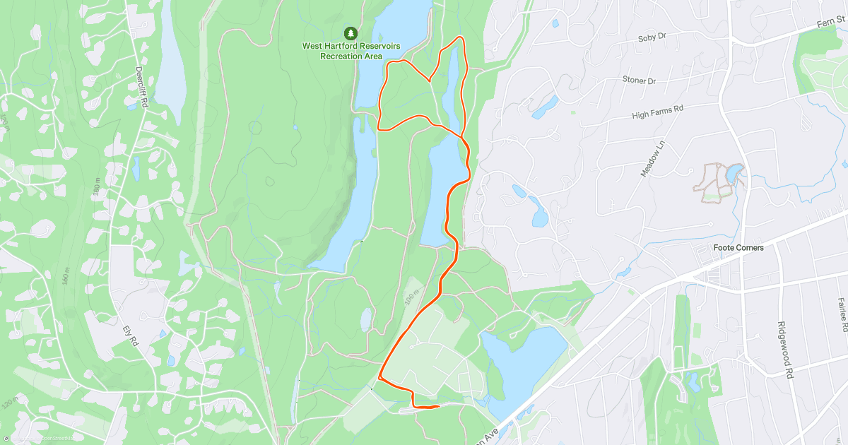 Afternoon Walk | Strava