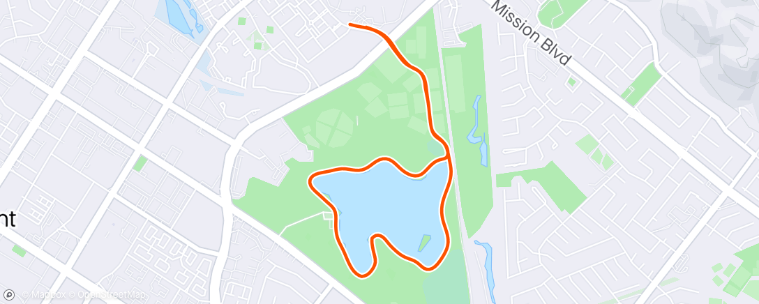 Map of the activity, Evening Run. Easy.