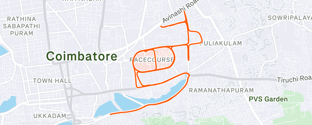 Map of the activity, WCM2025 Celebration Run