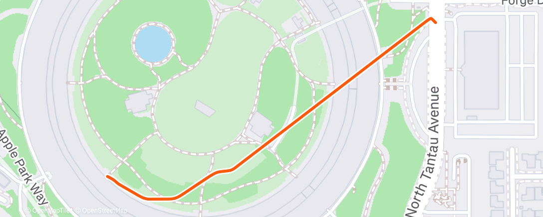 Map of the activity, Afternoon Walk