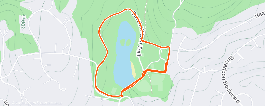 Map of the activity, Morning Run