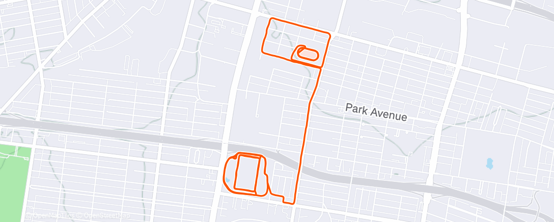 Map of the activity, Six 🐶 did her longest run!