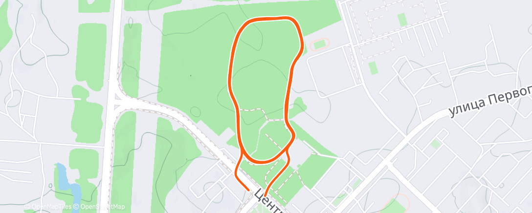 Карта физической активности (Evening Run)