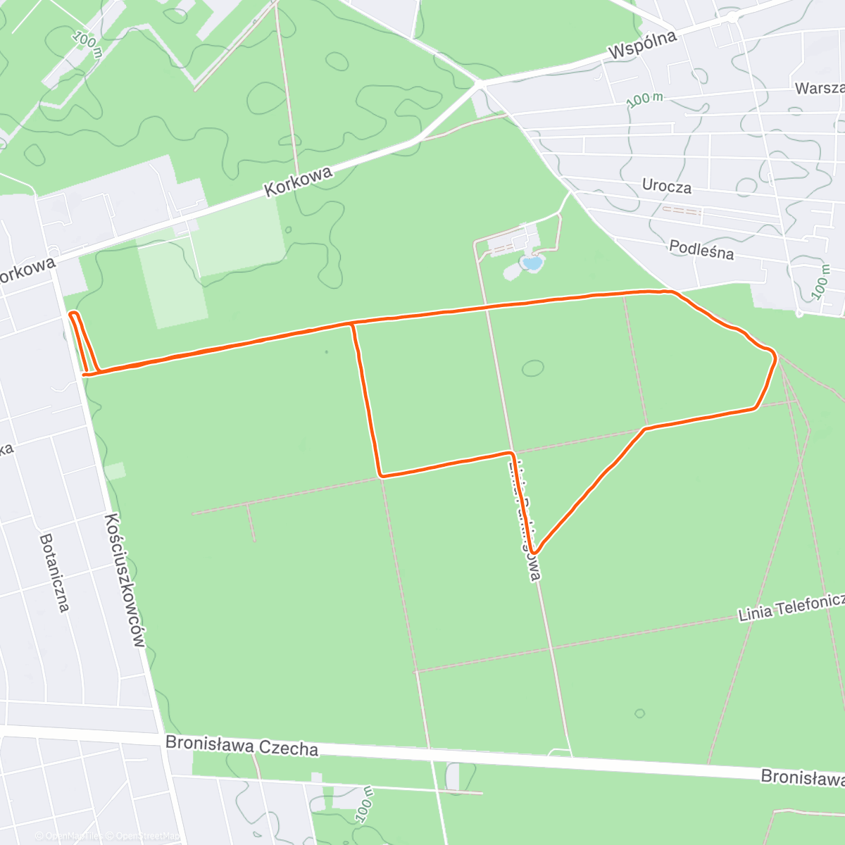 Карта физической активности (B. lekko Run)