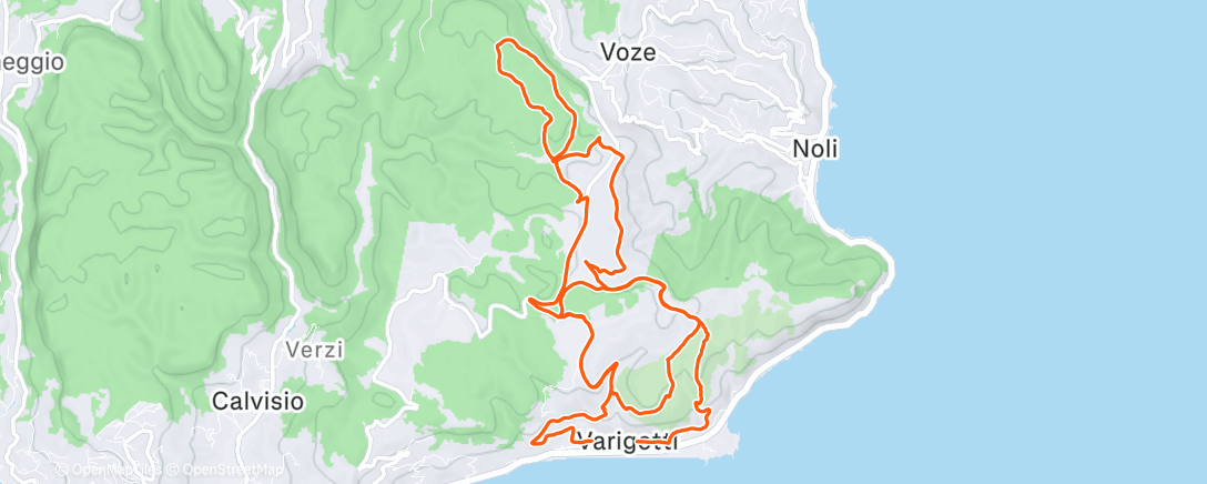 Map of the activity, Attività mattutina