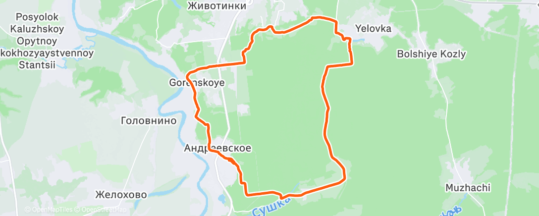 Map of the activity, Morning Run