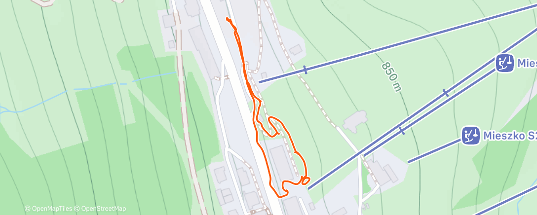 Карта физической активности (GÓRY ORLICKIE - ZIELENIEC WALK)