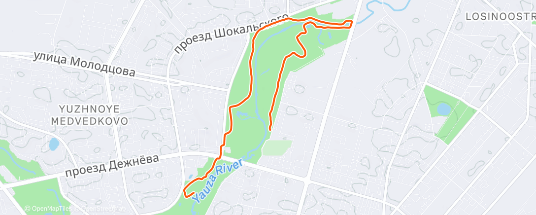 Карта физической активности (Вечерний забег)